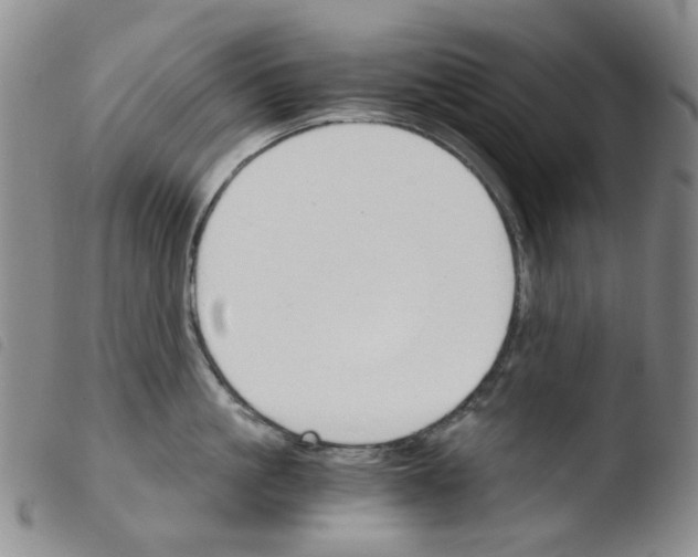 X0000103500861200810241123