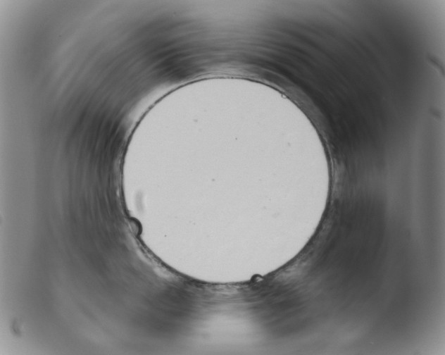 X0000103500862200810241123