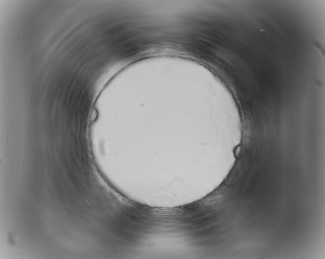 X0000103500863200810241123