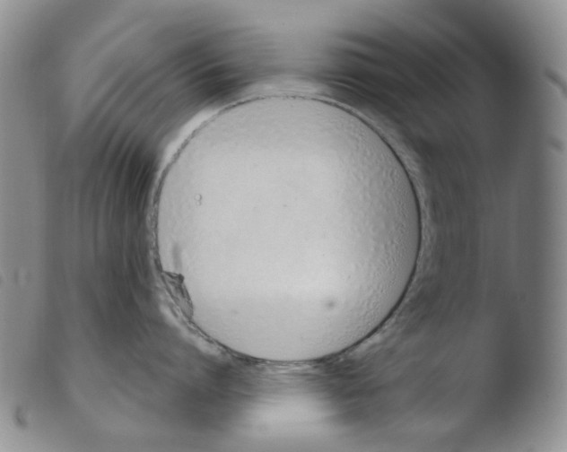 X0000103500864200810241123