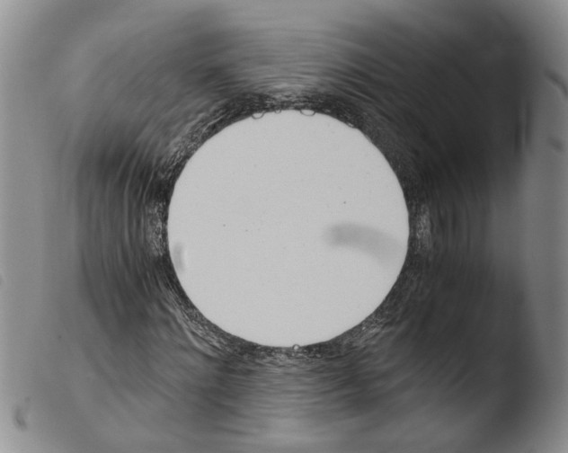 X0000103500868200810241123