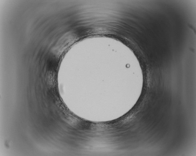 X0000103500873200810241123