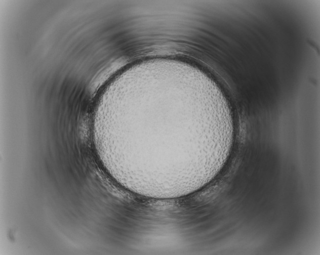 X0000103500874200810241123