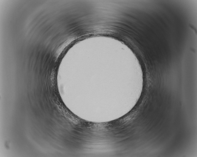 X0000103500875200810241123