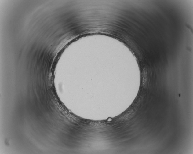 X0000103500876200810241123