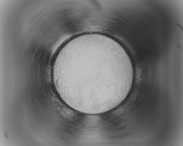 X0000103500878200810241123