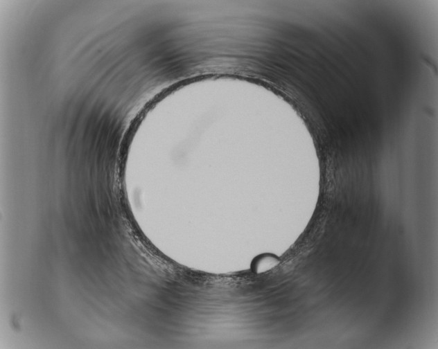 X0000103500880200810241122