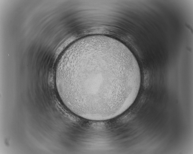 X0000103500882200810241122