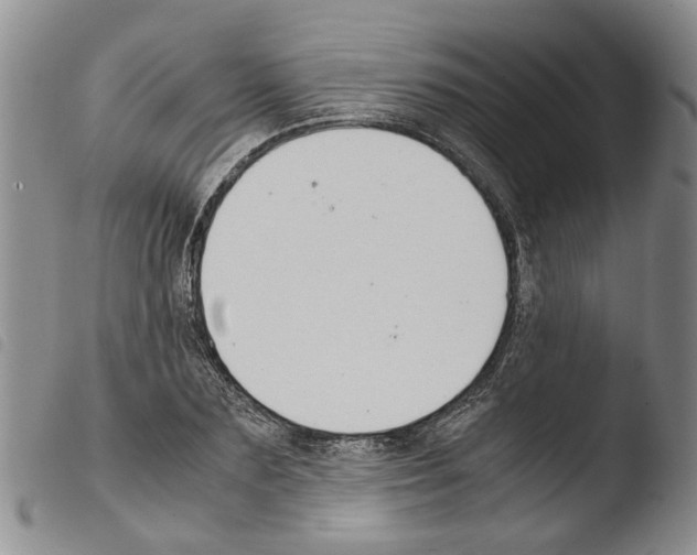 X0000103500883200810241122