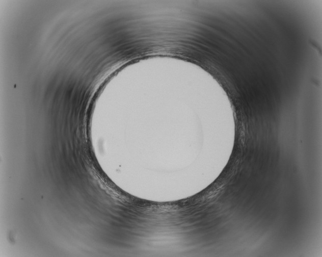 X0000103500884200810241122