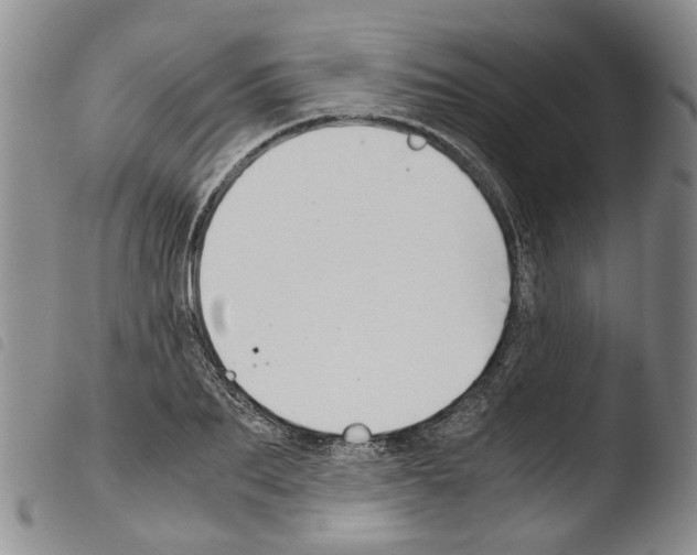 X0000103500887200810241122