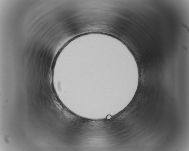 X0000103500888200810241122