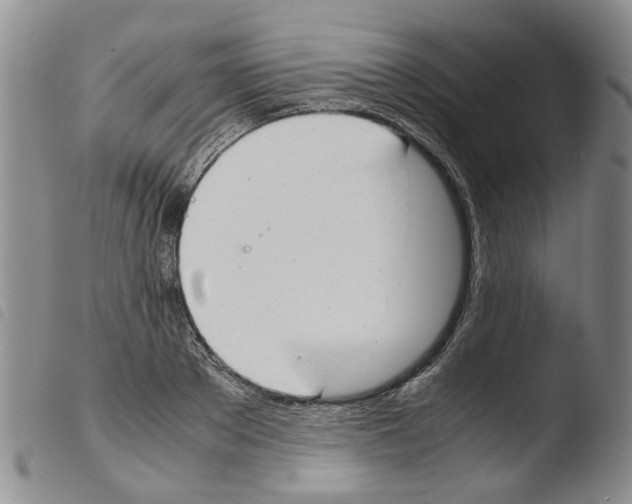 X0000103500889200810241122