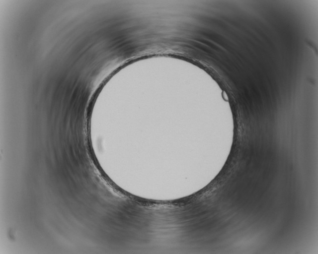 X0000103500894200810241122