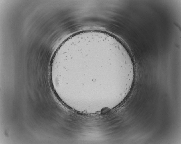 X0000103500895200810241122