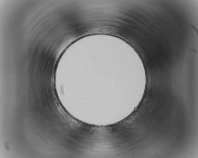 X0000103500896200810241122