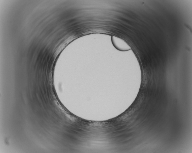 X0000103500898200810241122