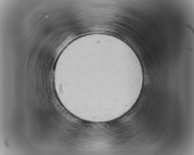 X0000103500899200810241122