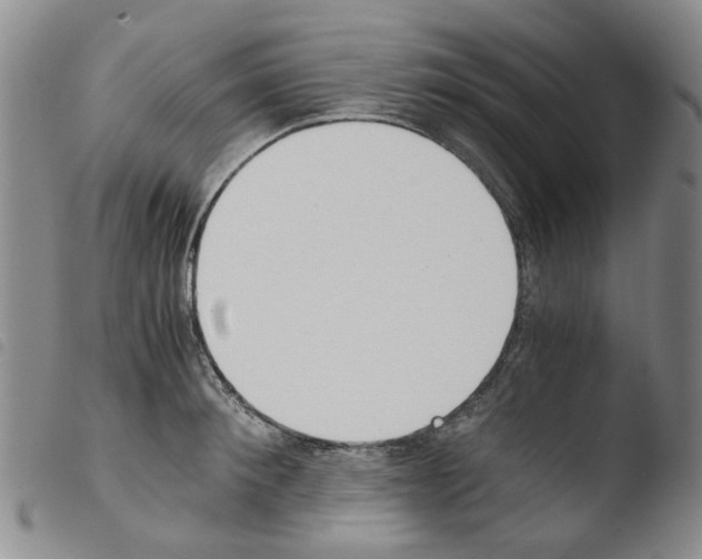 X0000103500900200810241122