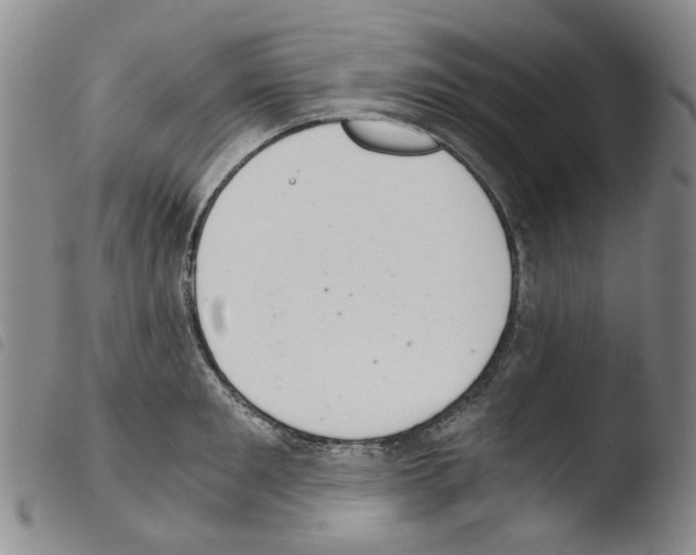 X0000103500901200810241122