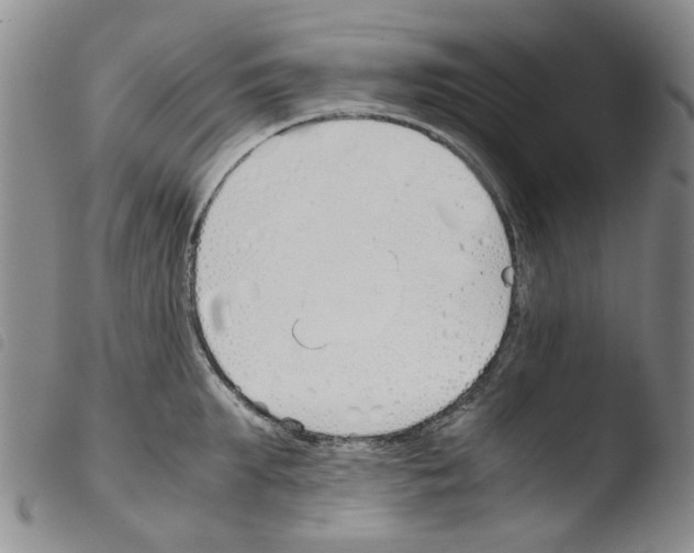 X0000103500903200810241122