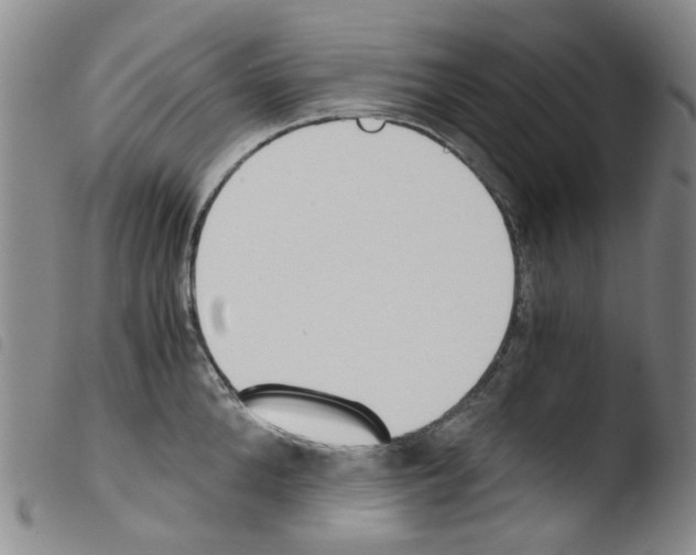 X0000103500904200810241122