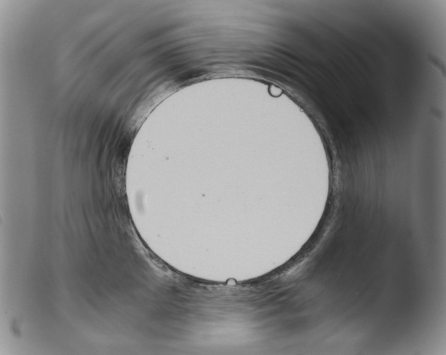 X0000103500905200810241122