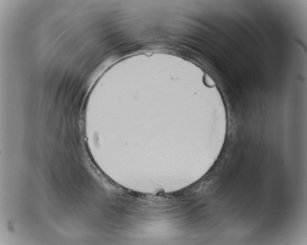 X0000103500907200810241122