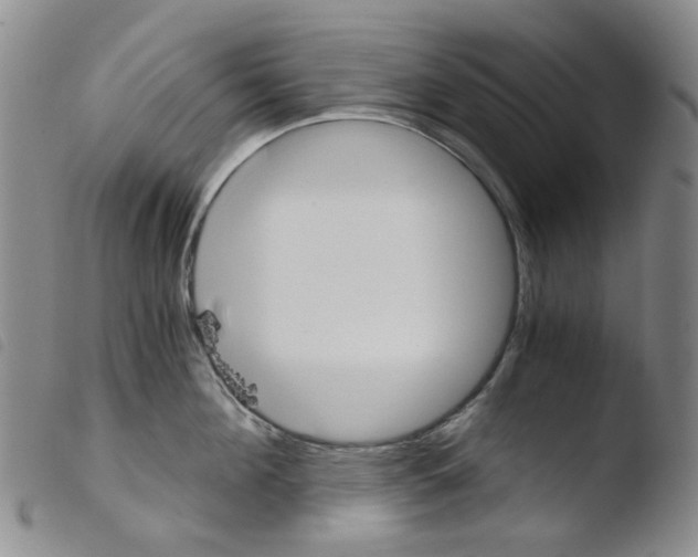 X0000103500908200810241122