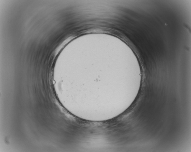 X0000103500909200810241122