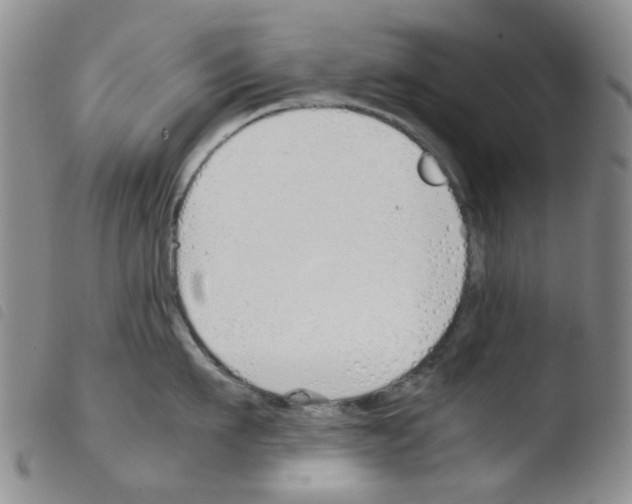 X0000103500911200810241122