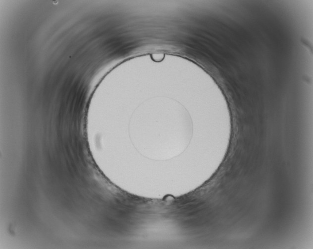 X0000103500912200810241122