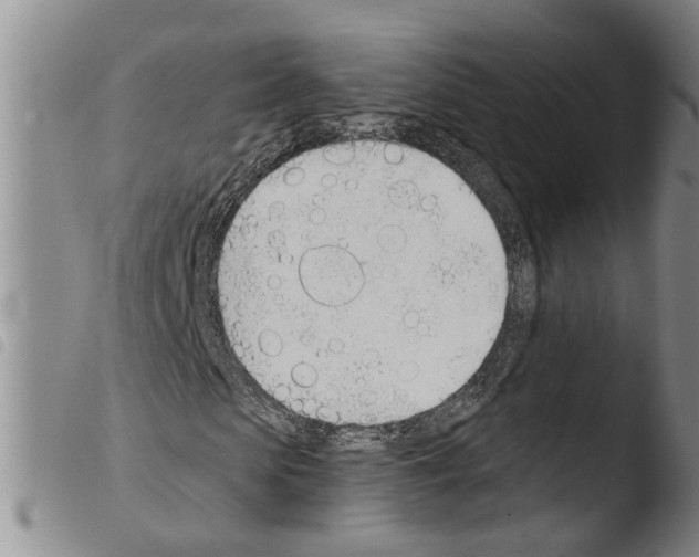 X0000103500913200810241121