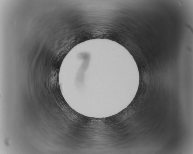 X0000103500914200810241121