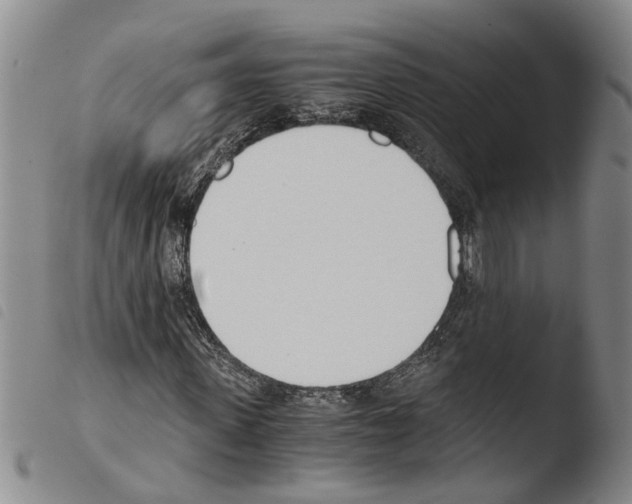 X0000103500915200810241121