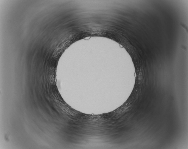 X0000103500916200810241121