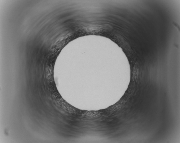 X0000103500917200810241121