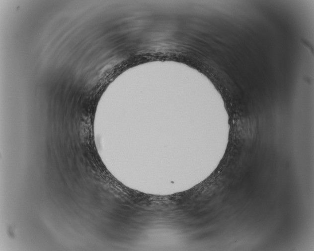 X0000103500918200810241121