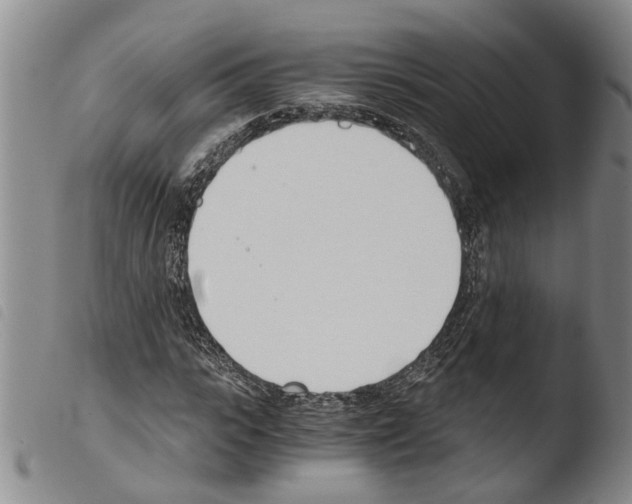 X0000103500919200810241121