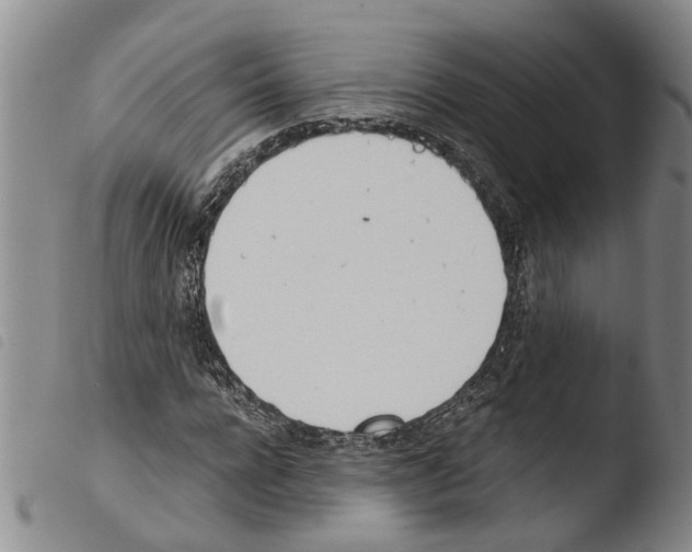 X0000103500920200810241121