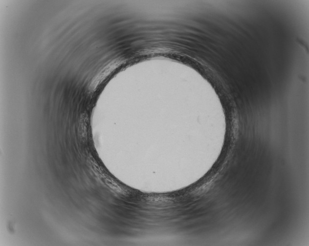 X0000103500921200810241121