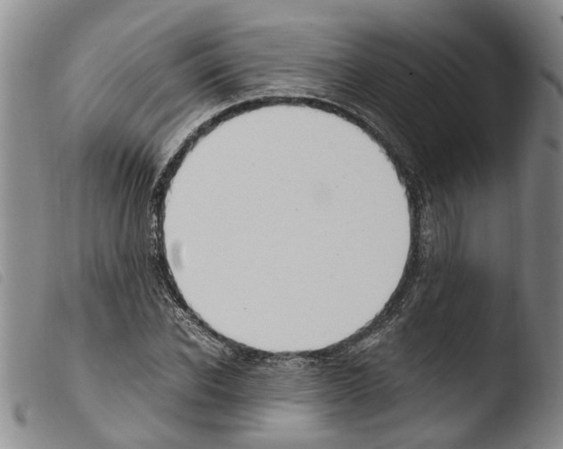 X0000103500926200810241121