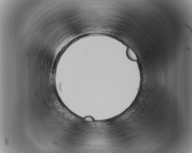 X0000103500928200810241121