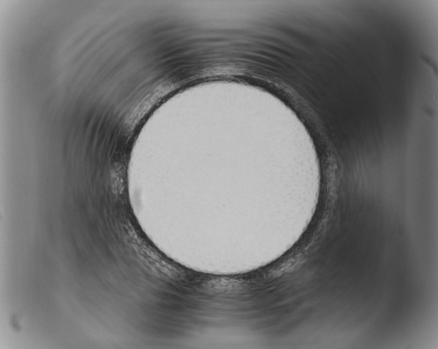 X0000103500929200810241121