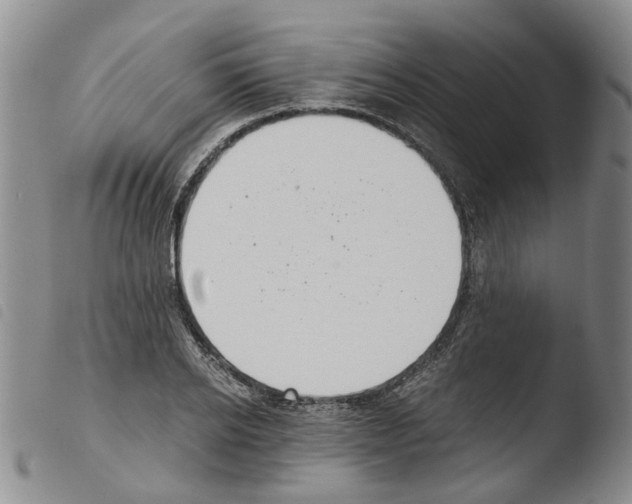 X0000103500934200810241122