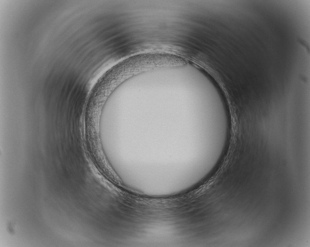 X0000103500936200810241122