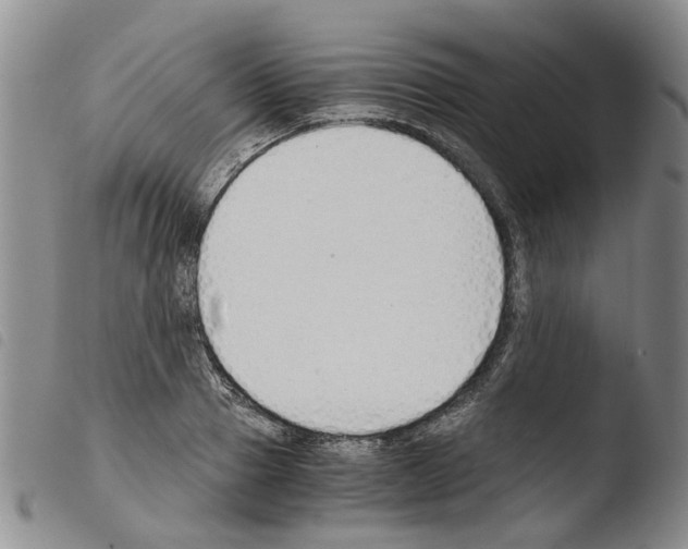 X0000103500937200810241122