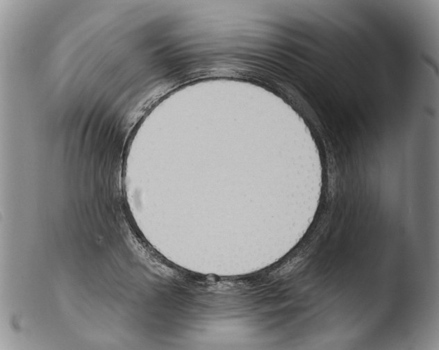 X0000103500938200810241122