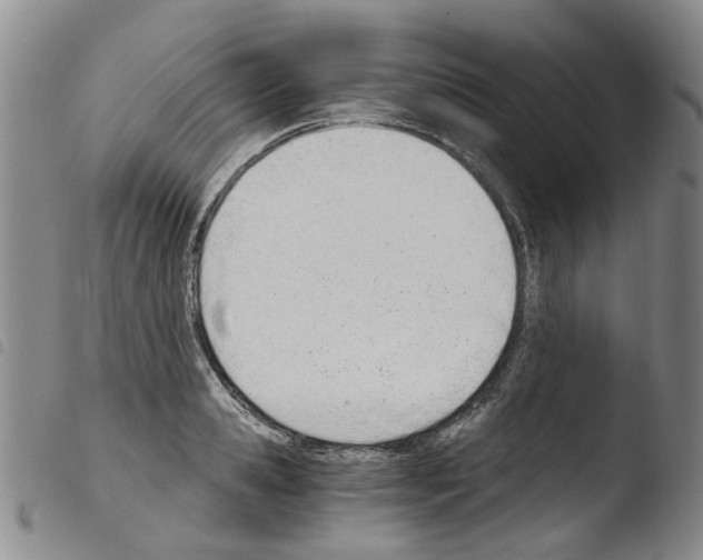 X0000103500941200810241122