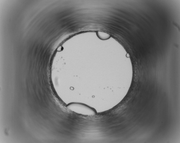 X0000103500942200810241122